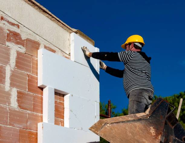 Best Insulation Contractors for Homes  in Douglass Hills, KY